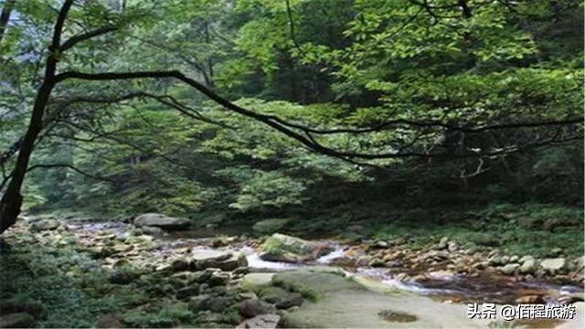 避暑張家界享森林SPA張家界夏季旅游攻略