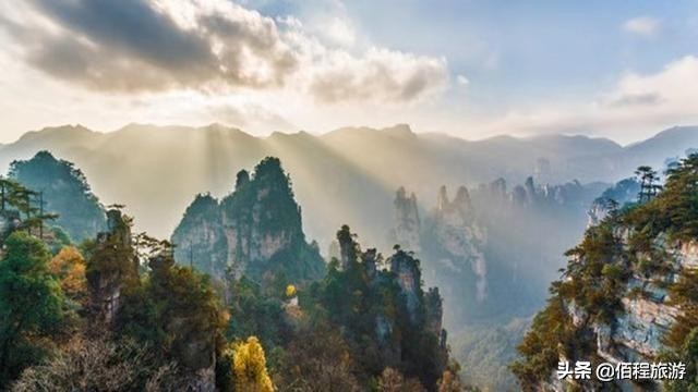 避暑張家界享森林SPA張家界夏季旅游攻略