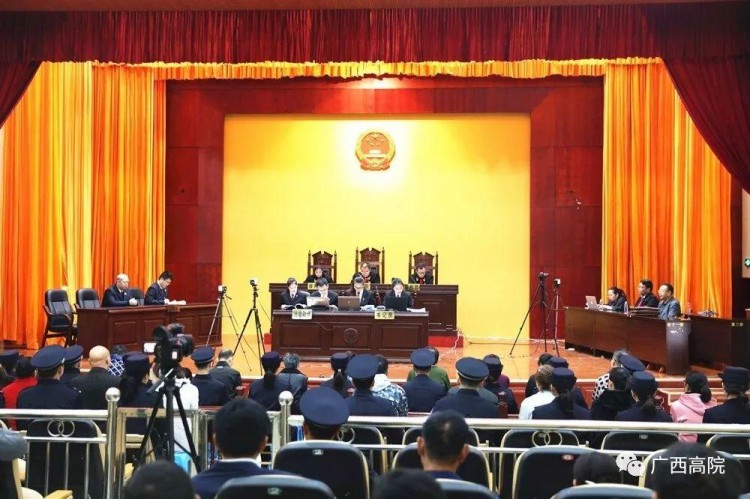 廣西河池：涉案23億會員近6萬人！1·06特大網絡傳銷案20名骨干成員全部獲刑