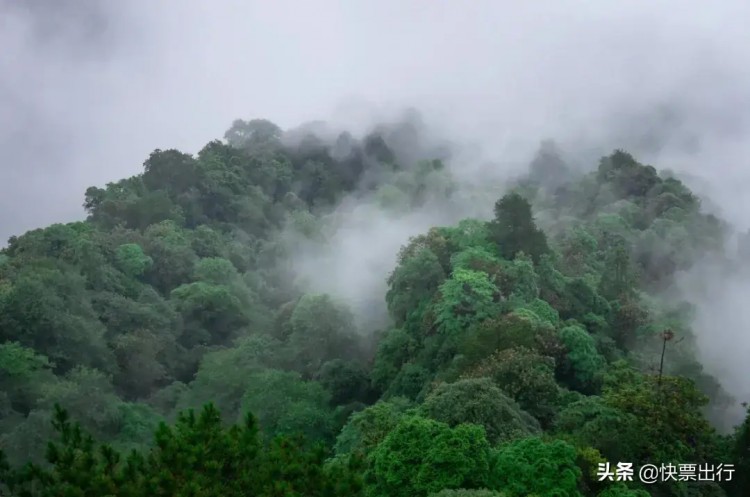 武功山已經披上了春裝你何時去享一場洗肺潤肺SPA