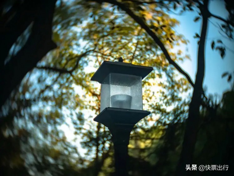 武功山已經披上了春裝你何時去享一場洗肺潤肺SPA