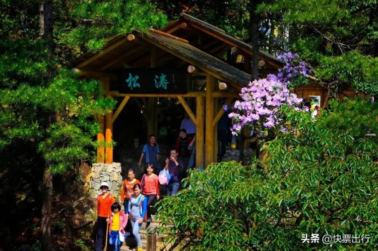 武功山已經披上了春裝你何時去享一場洗肺潤肺SPA