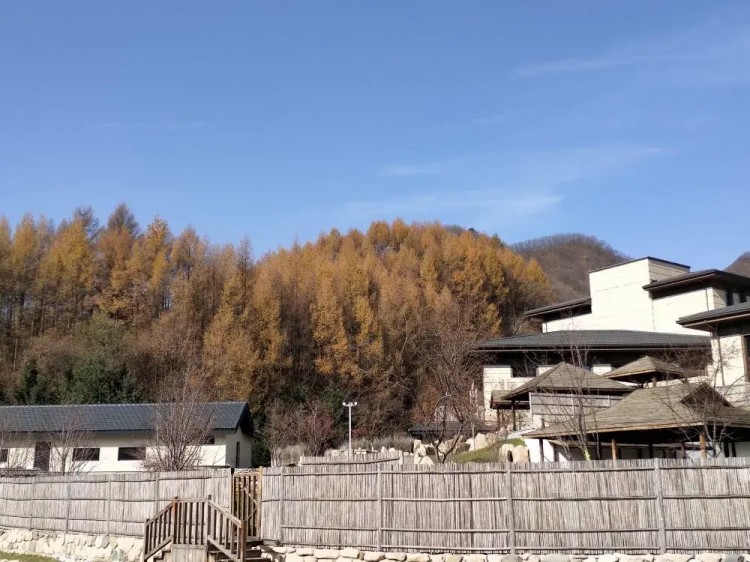 本溪縣雲溪七養溫泉民宿：打造湯養新境界