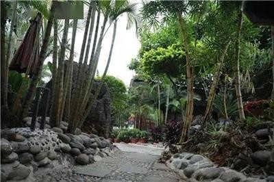 家門口的溫泉好去處