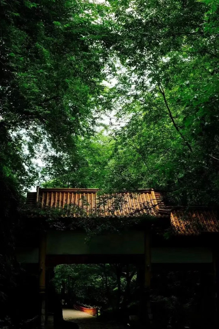 熱熱熱！隨州這些消夏避暑好去處記得收藏挑個周末就出發！