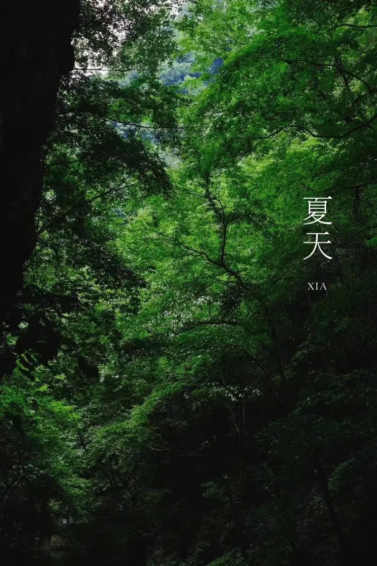 熱熱熱！隨州這些消夏避暑好去處記得收藏挑個周末就出發！