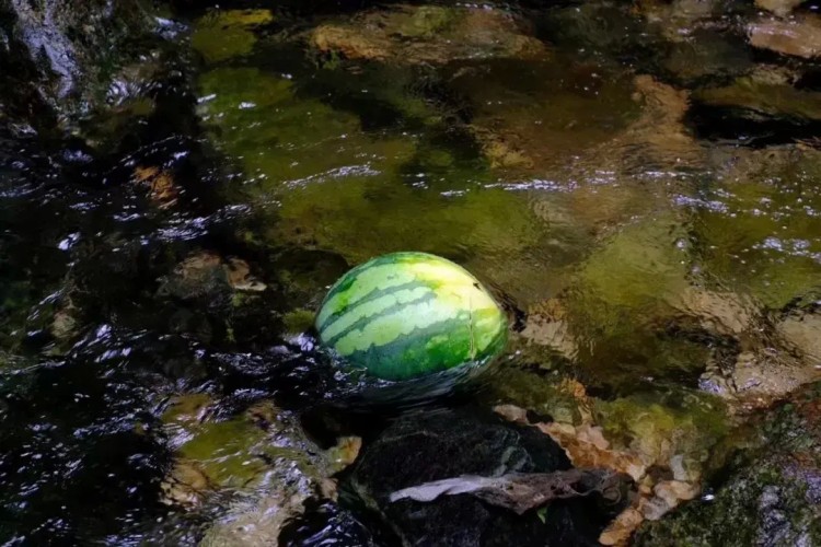 熱熱熱！隨州這些消夏避暑好去處記得收藏挑個周末就出發！