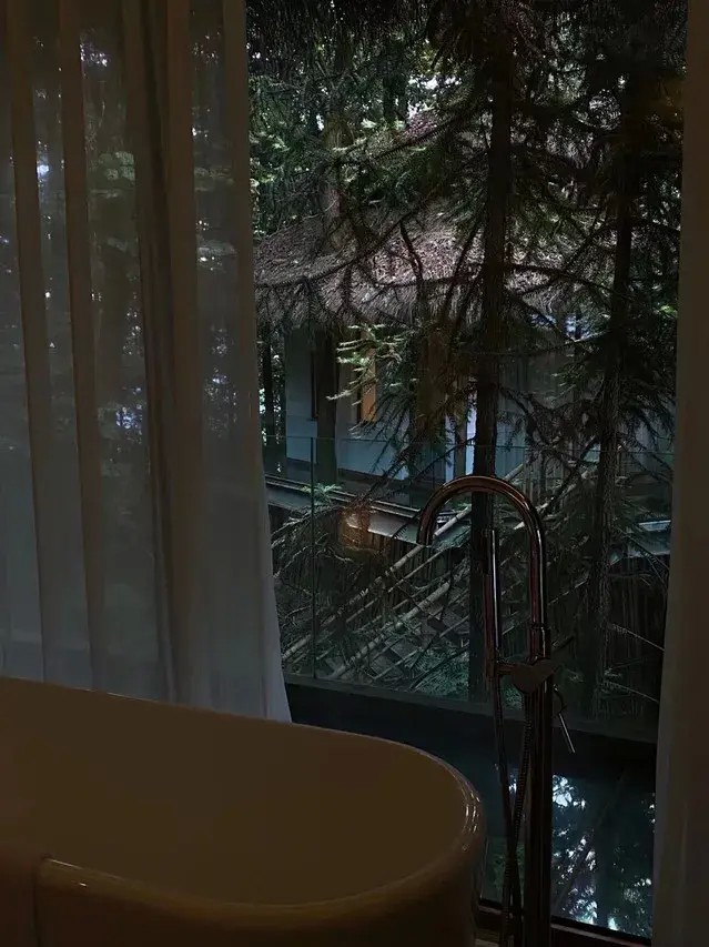 雪可賞雨可觀風可吟月可弄張家界梓山民宿