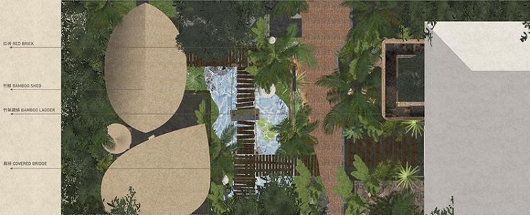 自然之美：平衡共生的奇跡