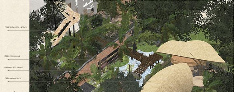 自然之美：平衡共生的奇跡