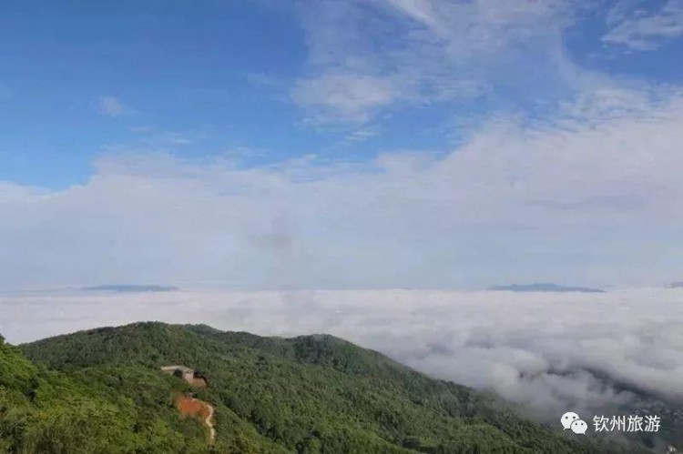 推薦|聽說欽州有一處森林養生基地可以讓你躲過炎炎夏日