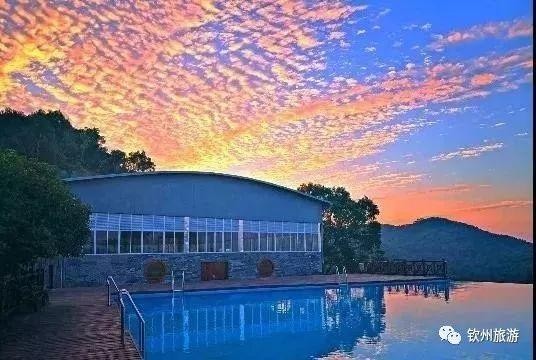推薦|聽說欽州有一處森林養生基地可以讓你躲過炎炎夏日
