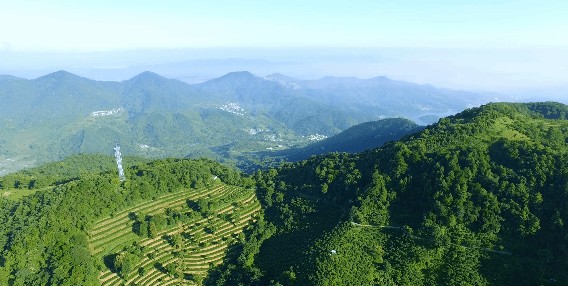 與廣東云浮高山茶田相遇，藏一家頂級酒店，山峰疊翠，云霧繚繞，溫泉