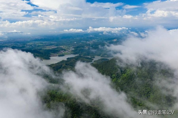 邂逅廣東云浮高山茶田藏一頂級酒店山峰疊翠云霧繚繞溫泉