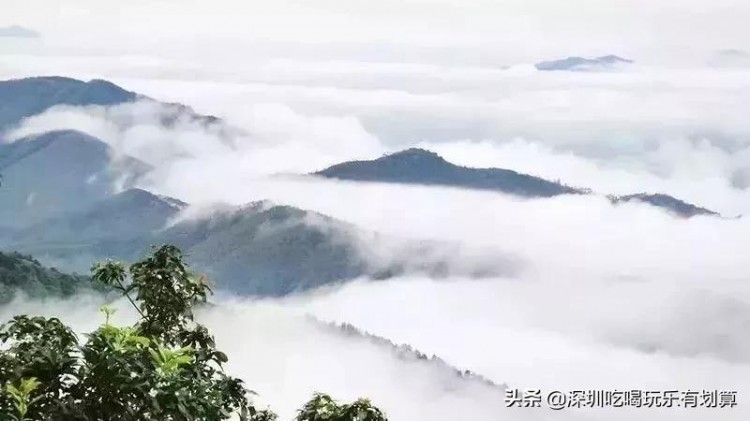 云浮象窩山頂有一家溫泉酒店，漫山茶園，湖泊美景，去過的還想去