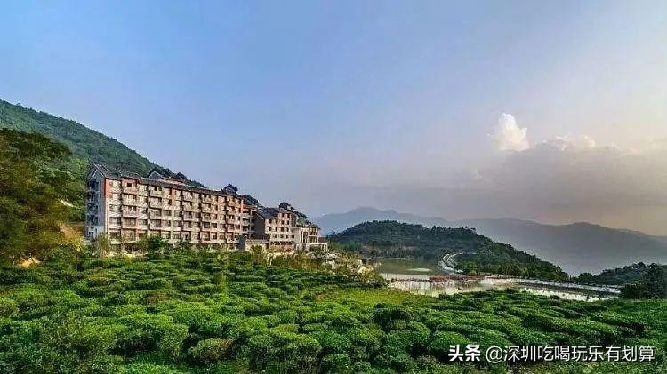 云浮象窩山山頂有個溫泉酒店漫山茶園湖泊美景去過的還想去