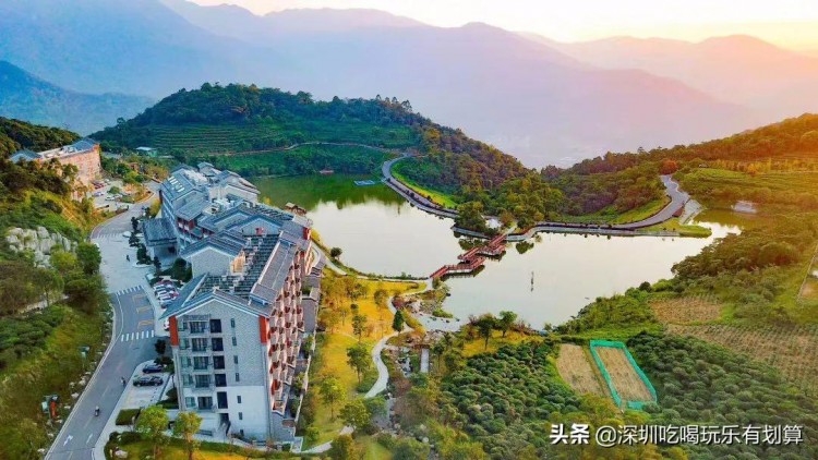 云浮象窩山山頂有個溫泉酒店漫山茶園湖泊美景去過的還想去