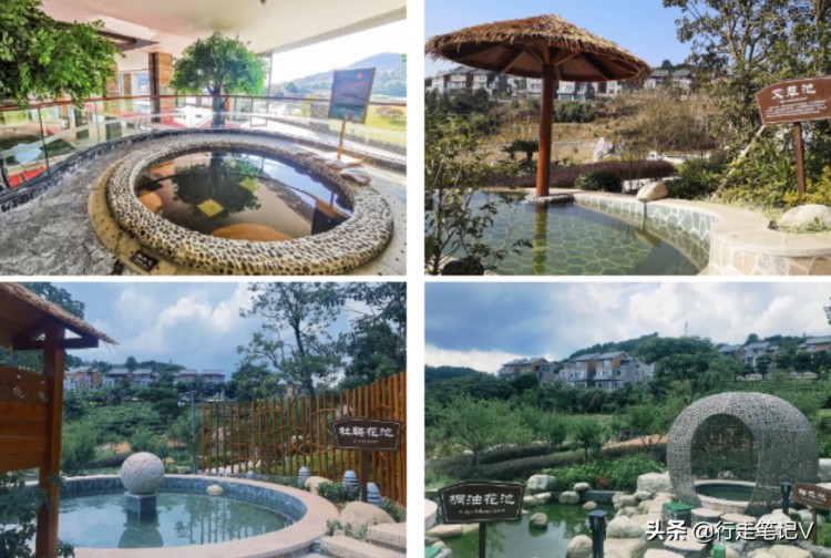 藏于云浮的頂級度假酒店千畝茶園賞花海泡湯泉網友贊不絕口
