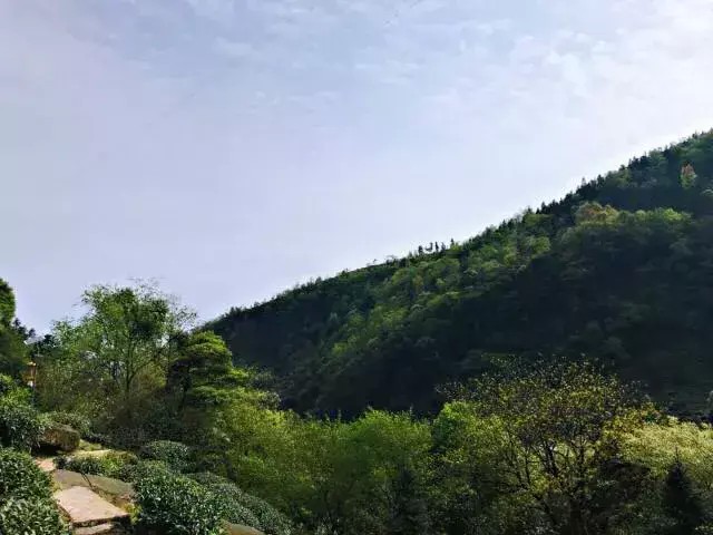 別再說清明找不到地方游玩了我看雅安這里就很不錯！