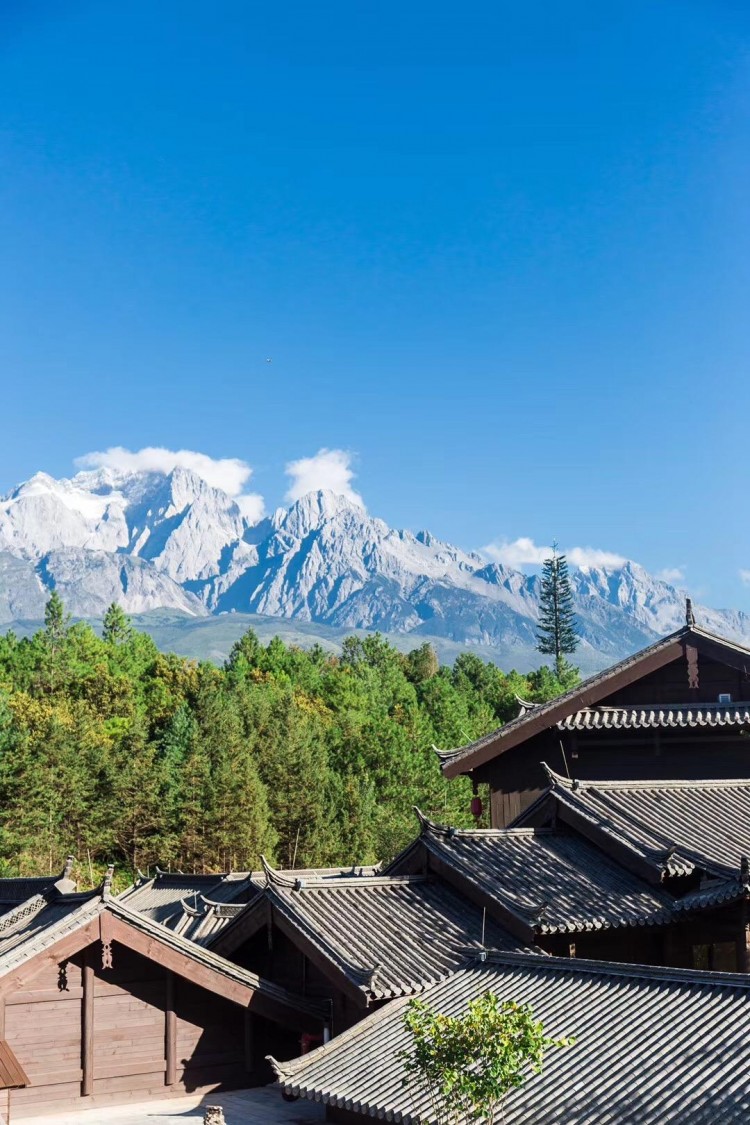 藏在麗江雪山下這個康養(yǎng)酒店入住居然要先體檢
