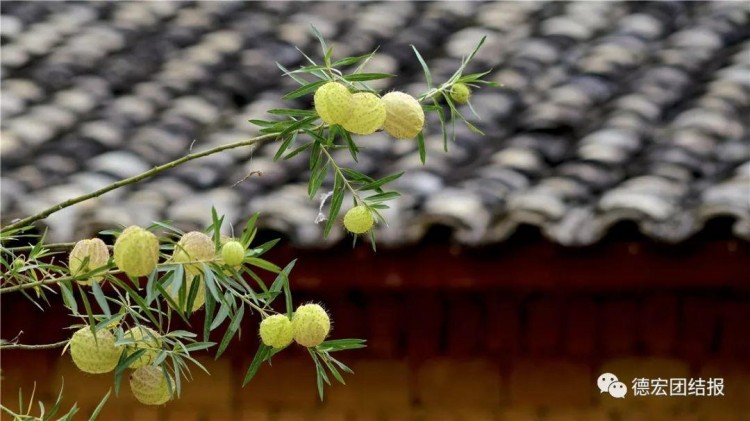 隴川龍安溫泉——德宏的休閑好去處!