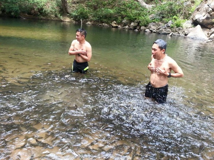這一定是世界上最瘋狂的魚SPA了內(nèi)心不夠強(qiáng)大真心不敢嘗試