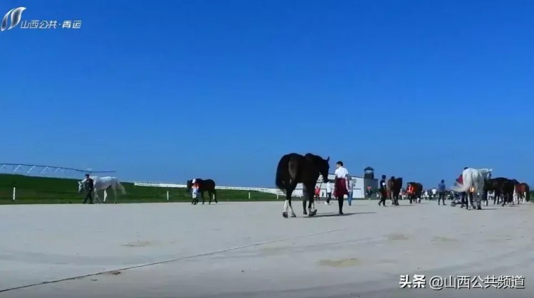 獨家探訪|吃雞蛋做spa揭秘特殊運動員的VIP待遇