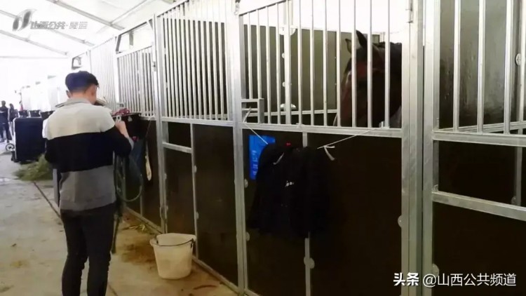 獨家探訪|吃雞蛋做spa揭秘特殊運動員的VIP待遇