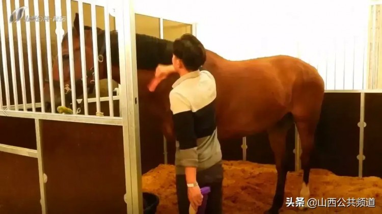 獨家探訪|吃雞蛋做spa揭秘特殊運動員的VIP待遇