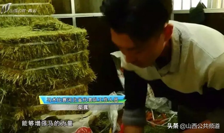 獨家探訪|吃雞蛋做spa揭秘特殊運動員的VIP待遇