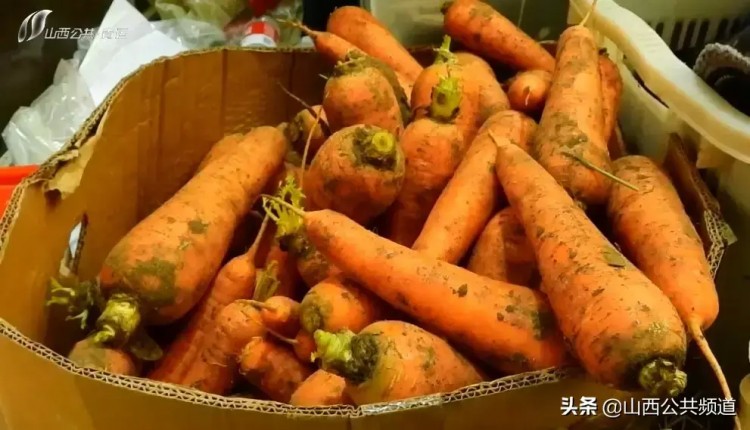 獨家探訪|吃雞蛋做spa揭秘特殊運動員的VIP待遇