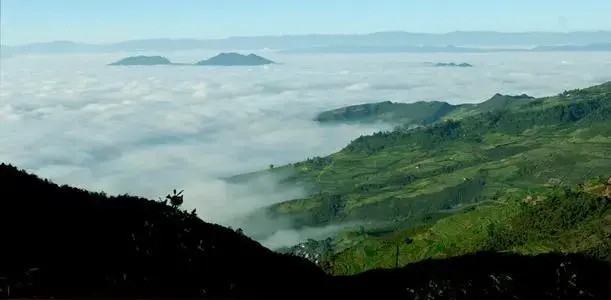 清風(fēng)拂面綠水過眼|楚雄彝風(fēng)濕地文旅小鎮(zhèn)