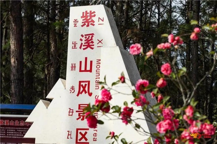 這篇文章告訴你留在楚雄過年的N個理由~