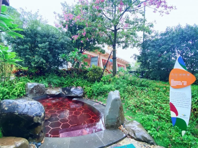 百色人春節(jié)假期的旅游攻略