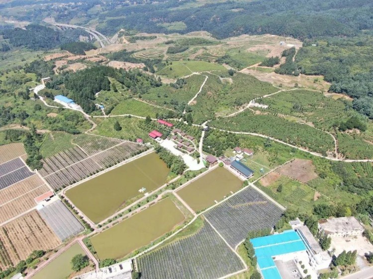康養(yǎng)+旅游：畢節(jié)有一個(gè)很爽的地方