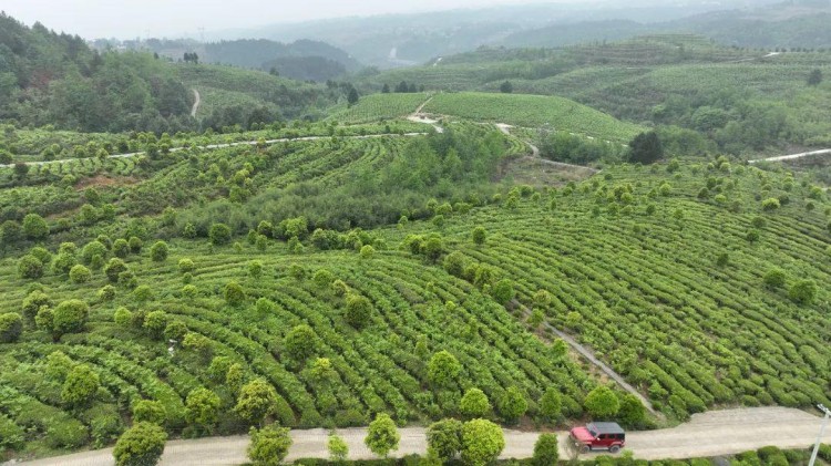 康養(yǎng)+旅游：畢節(jié)有一個(gè)很爽的地方