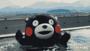 哈爾濱真正溫暖如春的地方！來(lái)回用不上200玩轉(zhuǎn)這個(gè)周末！