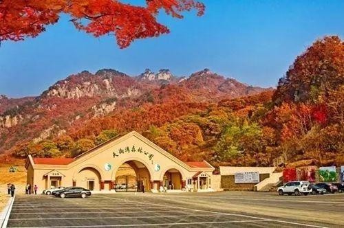 還沒想好去哪玩遼寧省內這些地方景美人少還不遠
