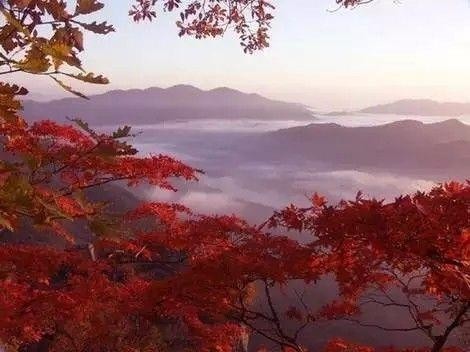 還沒想好去哪玩遼寧省內這些地方景美人少還不遠