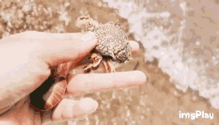 周末游河北|來這個地方相當于去了馬爾代夫撒哈拉巴黎……