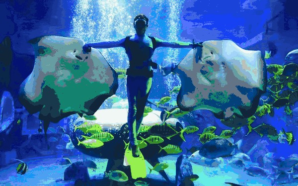 特權來看看黑龍江女神節女士們都有哪些特權~