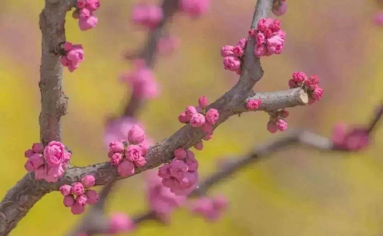 約惠大豐！三月女神季一大波福利獻給最美的你！