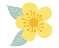 淳安成為首批省級示范區(qū)~快來這兒做氧氣免費SPA吧