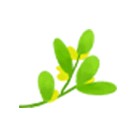 淳安成為首批省級示范區(qū)~快來這兒做氧氣免費SPA吧