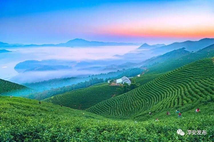 淳安成為首批省級示范區(qū)~快來這兒做氧氣免費SPA吧