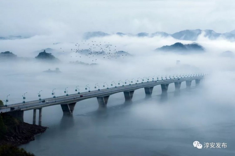 淳安成為首批省級示范區(qū)~快來這兒做氧氣免費SPA吧
