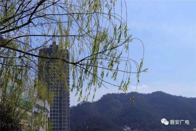 浙江首批!小清新磐安全省出名來這里做氧氣SPA!