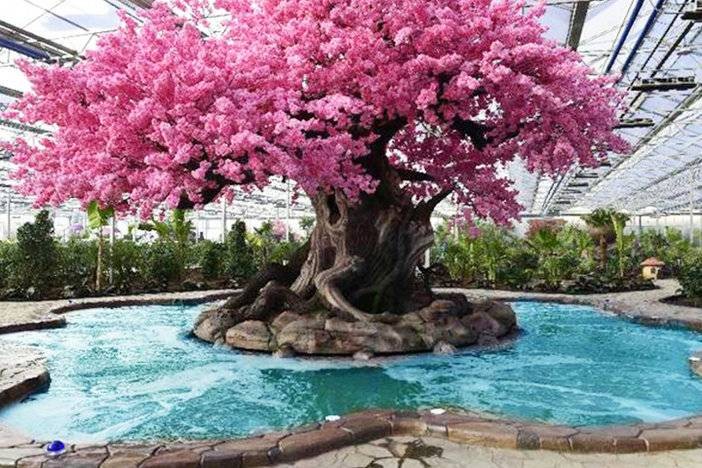 沈陽-不到40元享一品湯泉門票溫泉+游泳館+SPA水療池+兒童水樂園