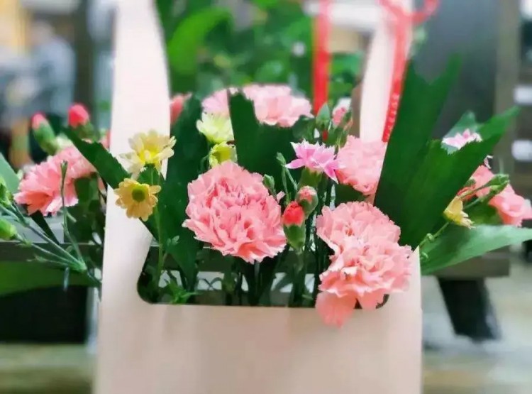 關愛母親|柏坡溫泉為您守護愛的溫度