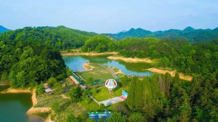 千島湖丨做一次療愈的森林SPA